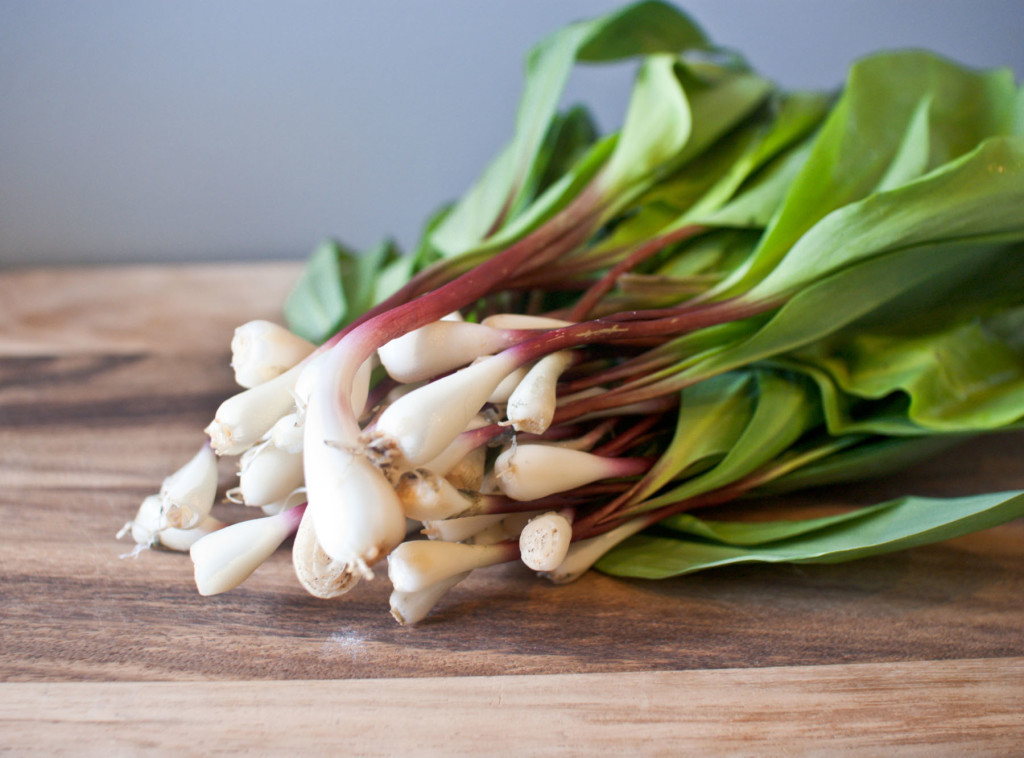 Wild Onion.